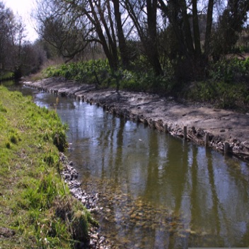 Backfilled narrowed section